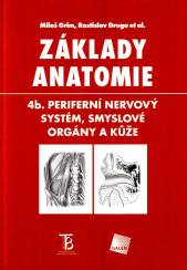 Základy anatomie - 4b. Periferní nervový systém, smyslové orgány a kůže