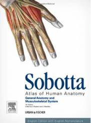 Sobotta Atlas of Human Anatomy 3 Vols. English, 15th Ed.